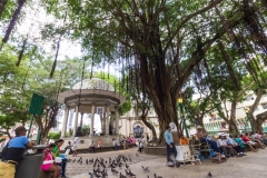 Panama City