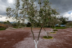 Laguna de Colta