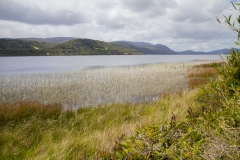 Nationalpark Chiloé - Blick auf den See