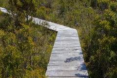 Nationalpark Chiloé - und immer wieder solche Stellen