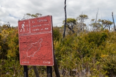 Nationalpark Chiloé - der Pfad El Tepual