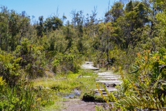 Nationalpark Chiloé - und was teilweise davon über geblieben ist