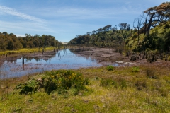 Chepu - hier war es noch grün