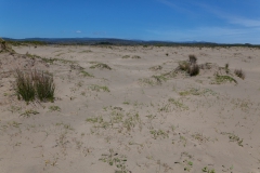 Chepu - eine schöne Landschaft