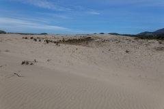 Chepu - weit und breit nur Sand und ein wenig..