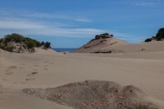 Chepu - wir sind einfach in Richtung dieser Hügel gelaufen