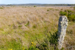 Chepu - und bewachsenen Pfosten